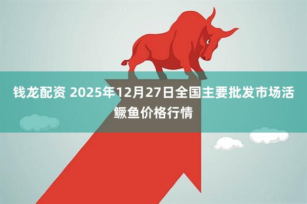 钱龙配资 2025年12月27日全国主要批发市场活鳜鱼价格行情
