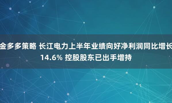 金多多策略 长江电力上半年业绩向好净利润同比增长14.6% 控股股东已出手增持